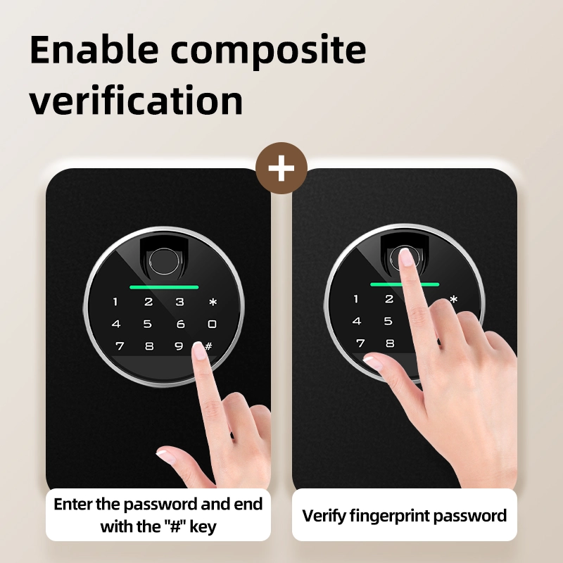Deli Fingerprint Lock Safe (ET632)
